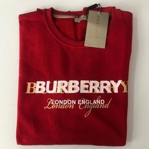 Burberry Men Sweatshirts Model New Season